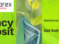 $3000 Deposit your account and get up to $5000 on InstaForex