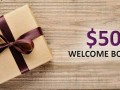Obtain $50 Forex No Deposit Welcome Bonus on AceFXPro